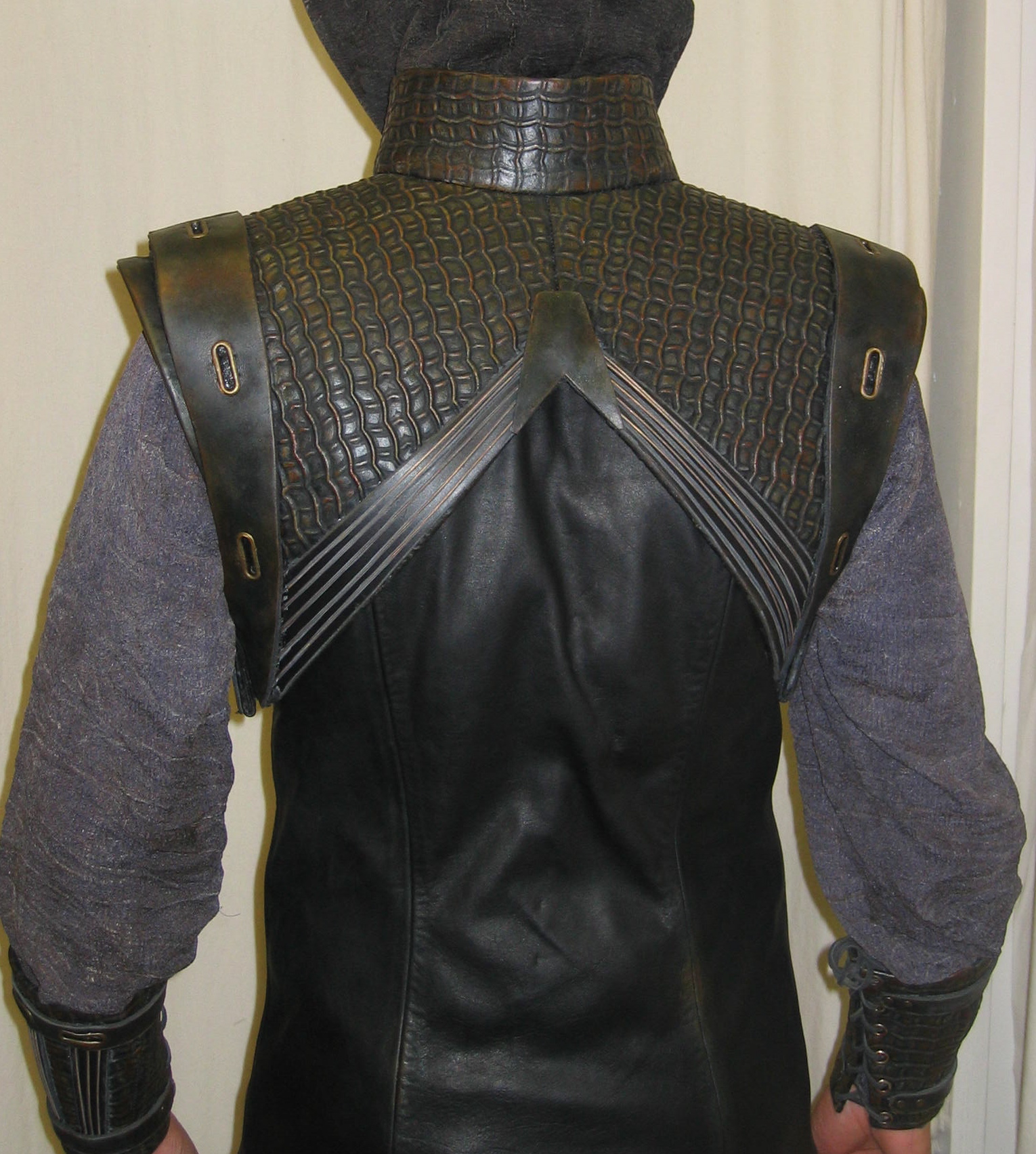 Stargate Atlantis – Assassin
